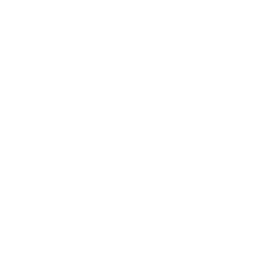 Régis Palma